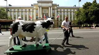 Protest zwolenników uboju rytualnego 