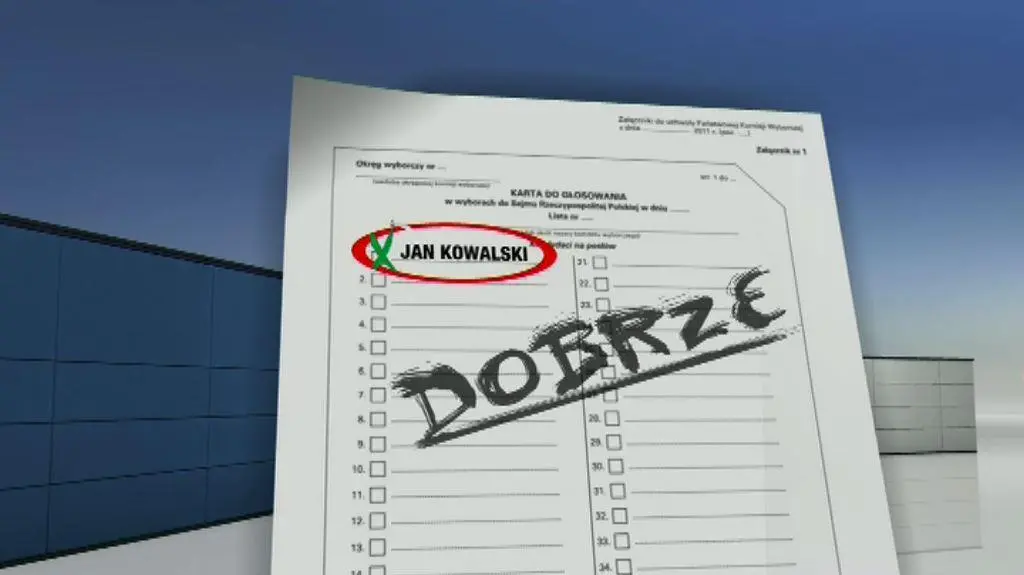 Przewodnik wyborczy 2011