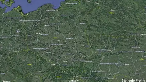 Ptasia grypa w Wielkopolsce 
