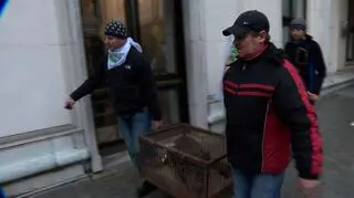 Rolnicy przywieźli do Sejmu żywego dzika. "Ma na imię Donald"