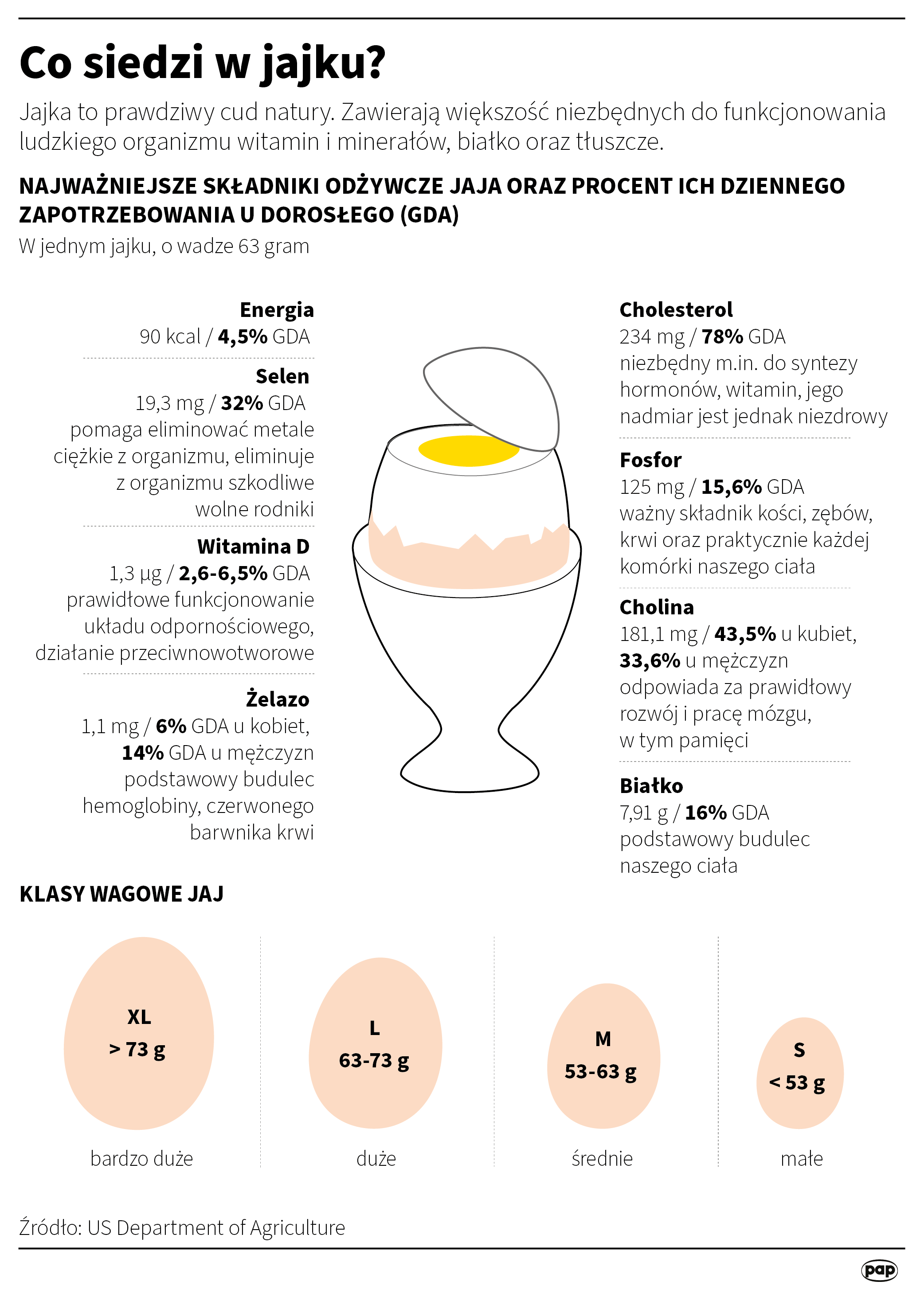 Co siedzi w jajku?