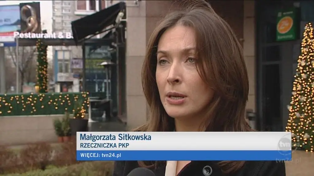 Rzecznicy PKP Intercity i Przewozów Regionalnych o zmianach (TVN24)