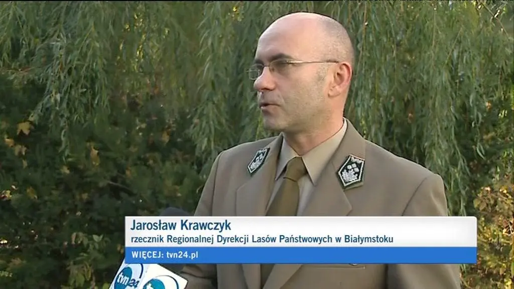Rzecznik Lasów Państwowych w Białymstoku o ratowaniu łosia