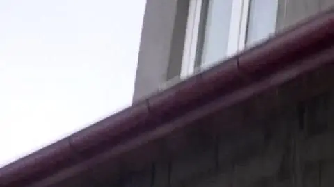 Sąsiedzi o koszmarze w rodzinie zastępczej