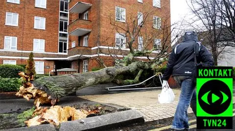 Skutki wichury na Wyspach (film z Portsmouth: Marcin Jędrysiak, fot. EPA)