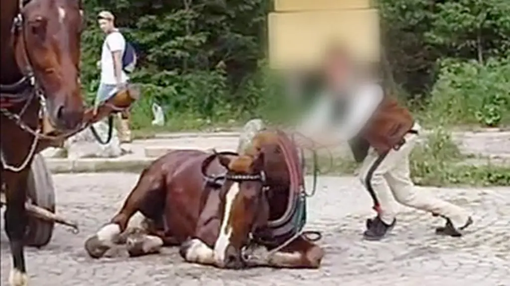 Śmierć konia pod Morskim Okiem