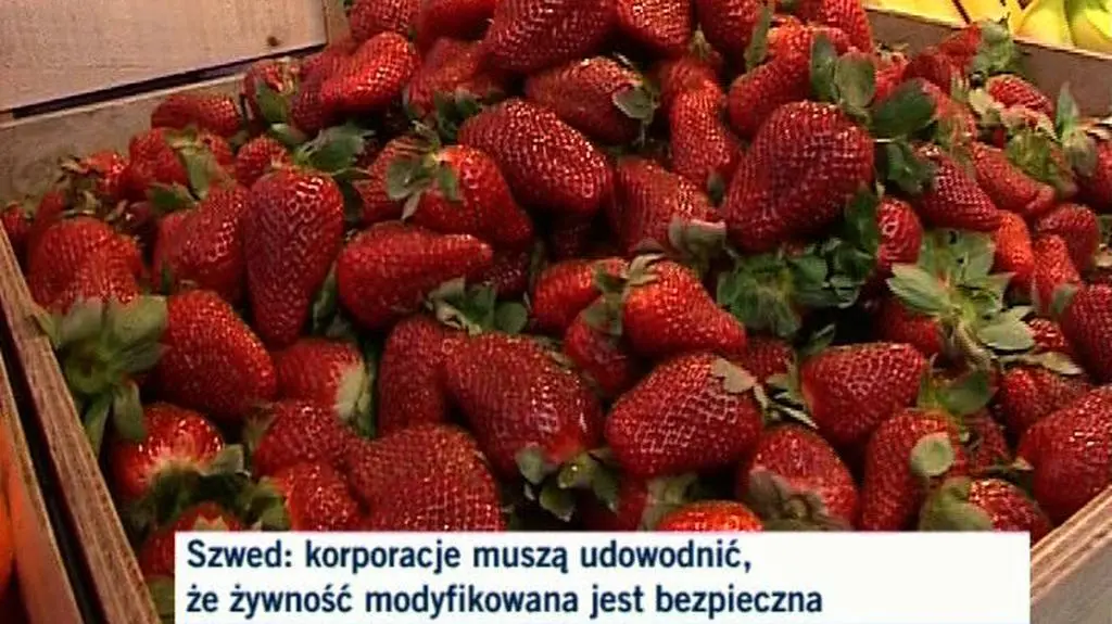 Spór o moratorium na GMO