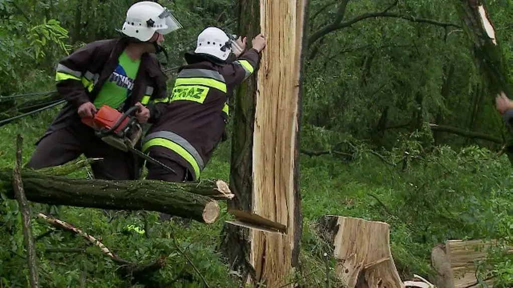 Spustoszenia w Zborowicach