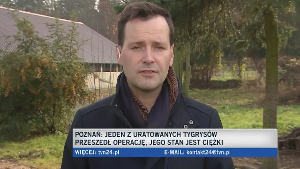 Stan Gotha jest ciężki. Tygrys po operacji 