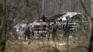 Szeląg: Kolor i układ warstw metalu z brzozy pasuje do budowy skrzydła