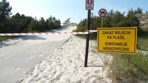 Toksyczna substancja zniknęła z plaży