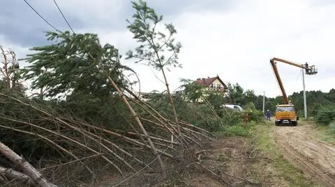 "Trzeba pracować nad systemami ostrzegania" 