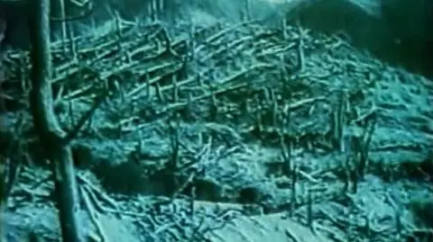 Tylko do końca 1945 roku w Nagasaki zginęło i zmarło na skutek ataku 74 tysiące osób