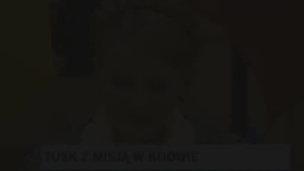 Tymoszenko o obecnej sytuacji na Ukrainie (TVN24)