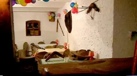 Uciekły z domu dziecka. Trafiły do domu publicznego