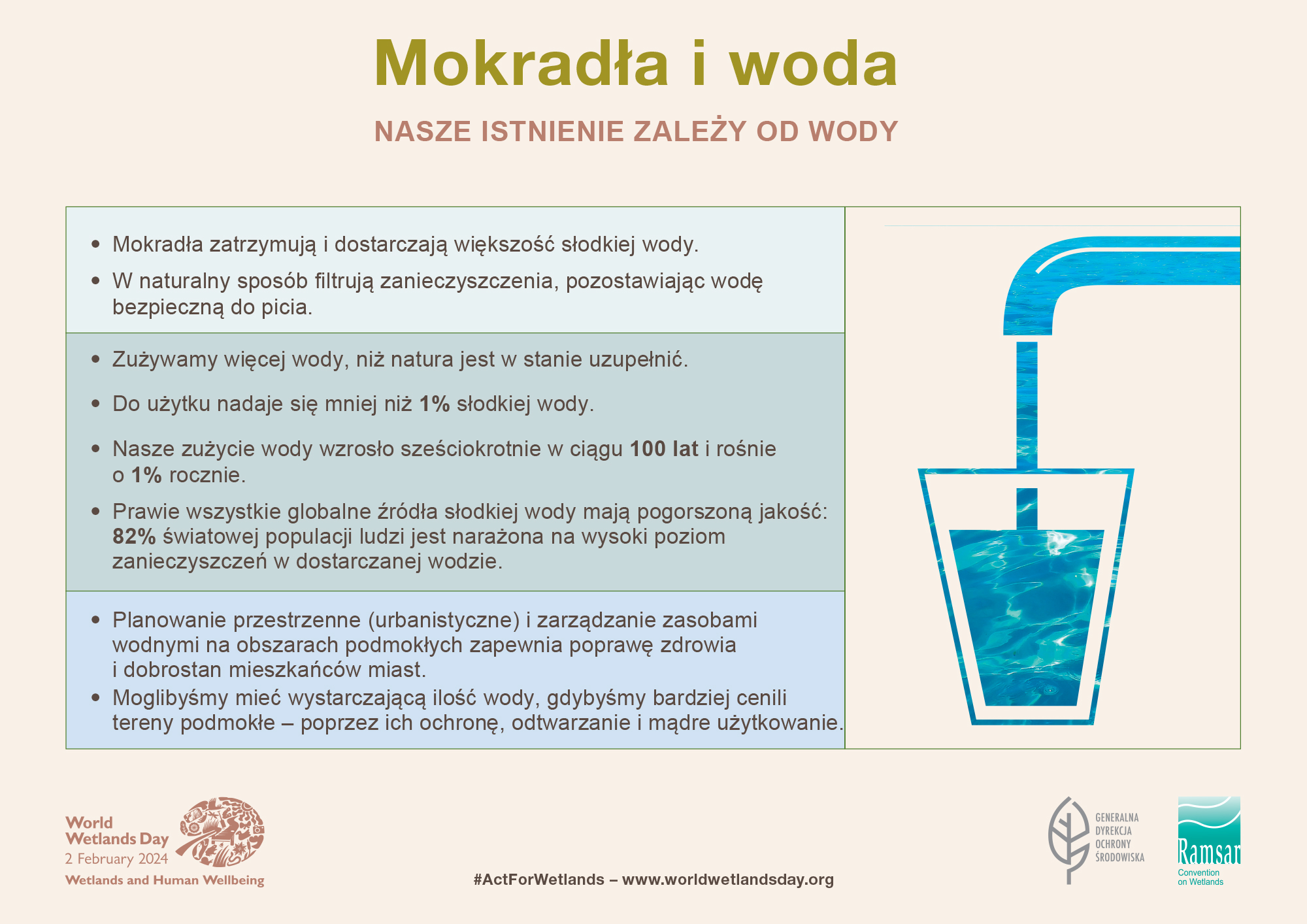 Mokradła i woda