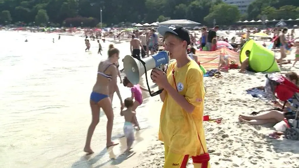 W Gdyni pojawiły się sinice