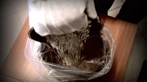 W krematorium bezczeszczono zwłoki?