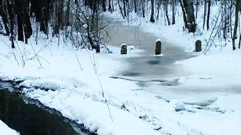 Wójt wylewa ścieki do Kampinosu
