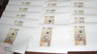 Wpadli fałszerze pieniędzy