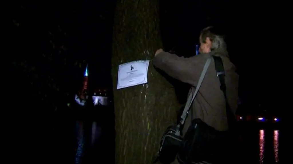 Wrocławianie przeciwni wycince drzew