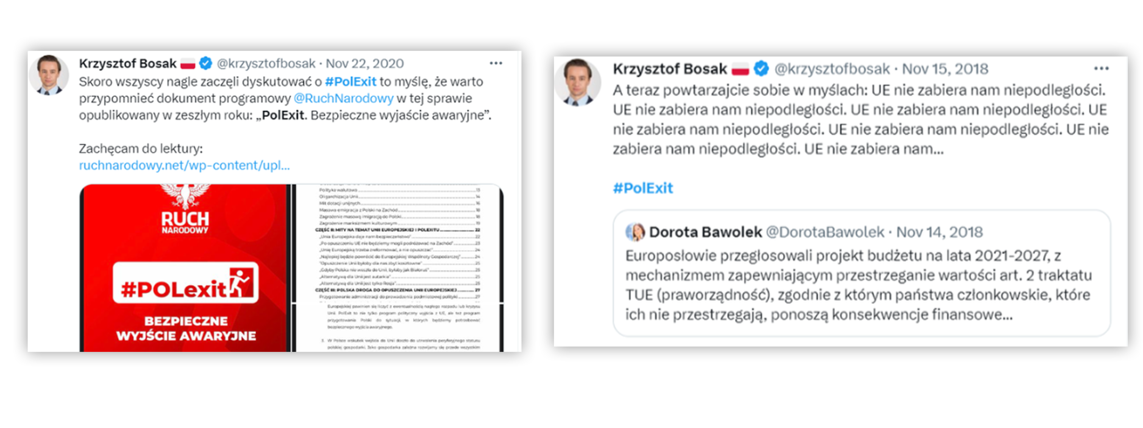 Jak Krzysztof Bosak pisał o UE i dokumencie Ruchu Narodowego 