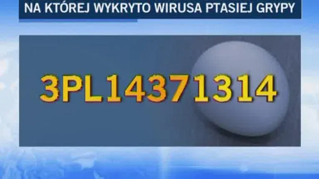 Zabezpieczono około 100 tys. jaj