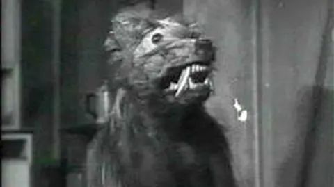 "Zabójcze ryjówki" Raya Kellogga z 1959 roku\ youtube.com