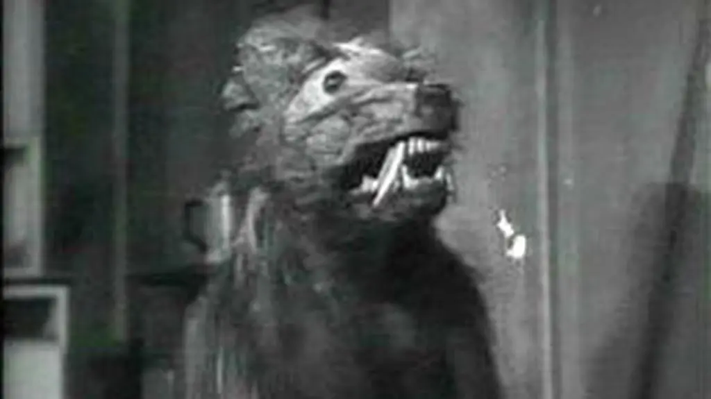 "Zabójcze ryjówki" Raya Kellogga z 1959 roku\ youtube.com