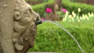 Zamek Książ tonie w kwiatach