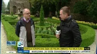 Zamek Książ tonie w tulipanach