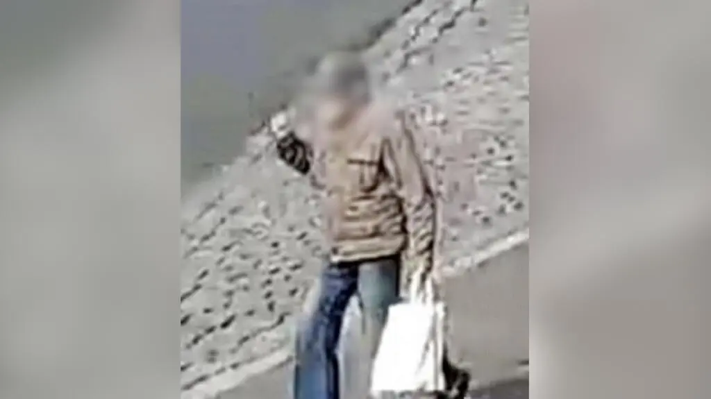 Zatrzymano podejrzewanego o molestowanie dziewczynek