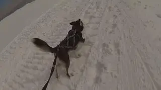 Zimowy Ultramaraton Karkonoski