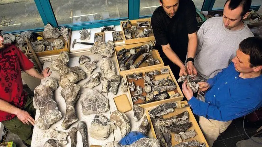 Zobacz pierwszego polskiego dinozaura