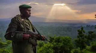 Zwiastun filmu "Virunga"