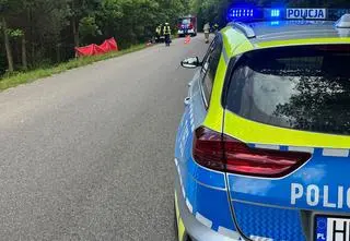Motocyklista uderzył w drzewo, zginął na miejscu