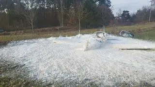 W miejscowości Kaplityny (woj. warmińsko-mazurskie) rozbiła się awionetka. Na jej pokładzie były dwie osoby. Na miejscu trwa akcja ratunkowa.