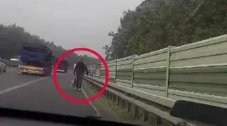 Autostopowicza na autostradzie nagrała kamera w radiowozie