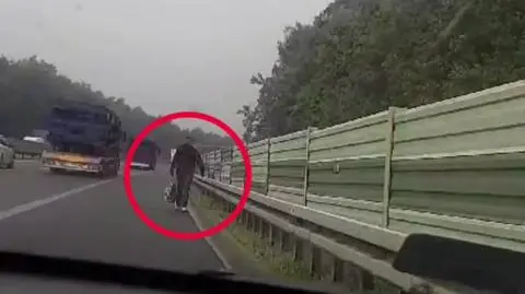 Próbował łapać stopa na autostradzie. Nie odstraszył go mandat, więc dostał drugi