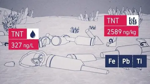 Toksyczne dziedzictwo