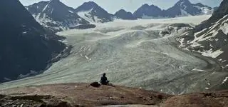 Znikają po cichu. Ich widok niedługo może stać się tylko wspomnieniem