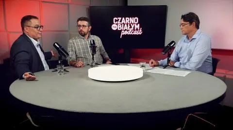 "Rekordziści okrążają Ziemię". Jak posłowie "doją" państwo