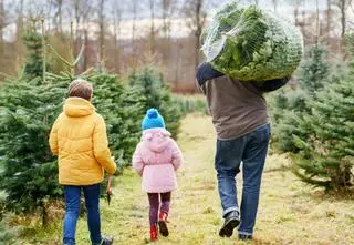 Dyskusje o polityce i niechciane całusy. Jak przeżyć święta