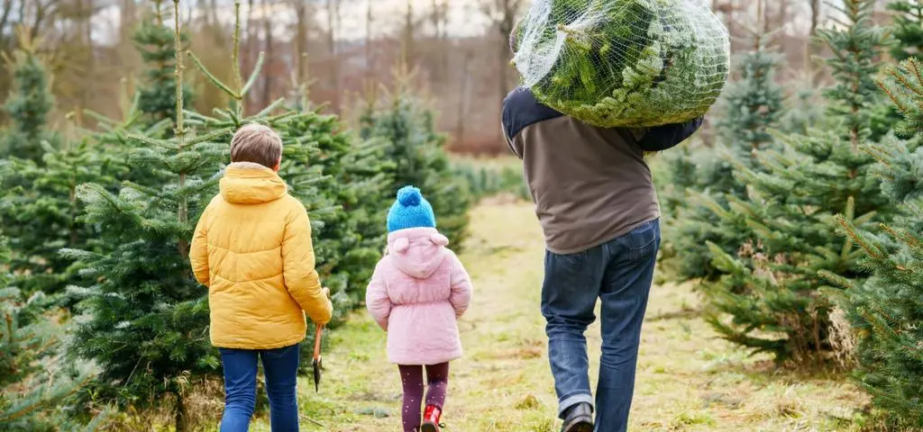 "Magia Świąt nie pojawia się wraz z datą w kalendarzu". Jak sprawić, żeby ogarnęła nie tylko dzieci?