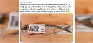 Wędzona makrela senatora KO. Po co politycy to robią?