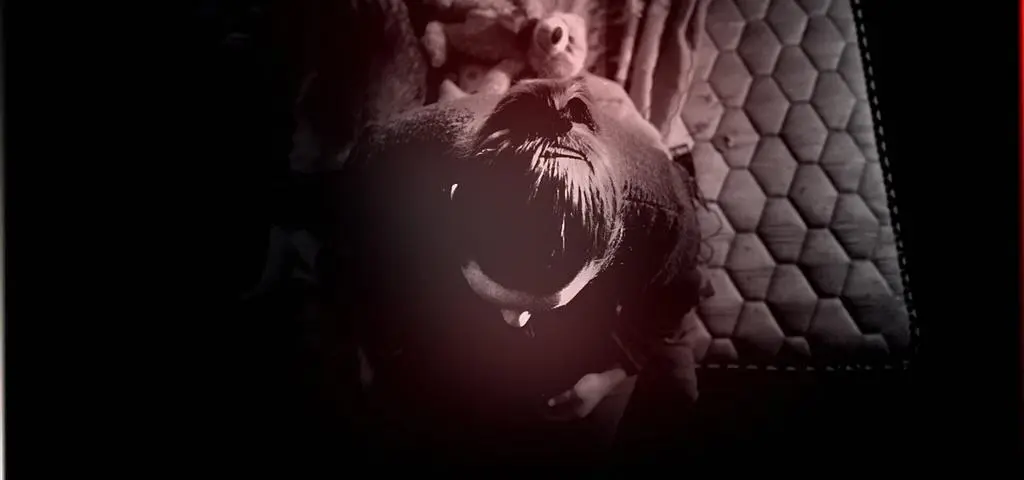 Za grosz sprawiedliwości