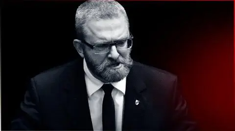 Brunatny nietykalny