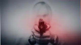 Coraz więcej Polaków ma pozwolenie na broń 
