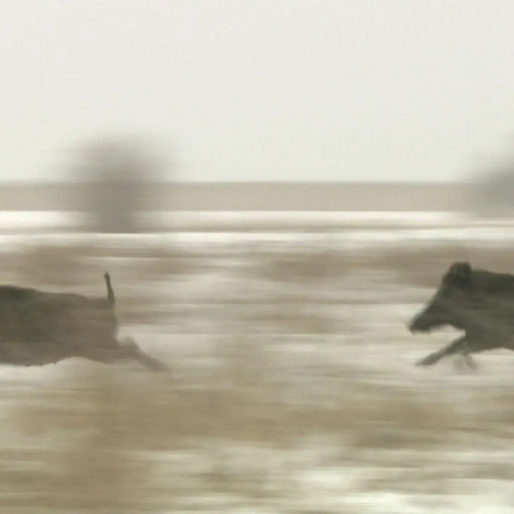 photo_1744931384