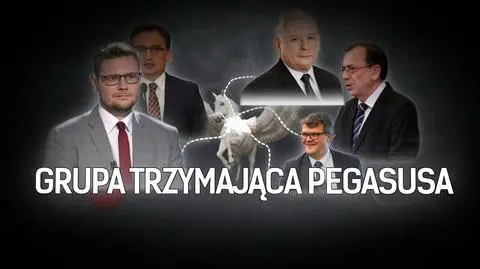 Grupa trzymająca Pegasusa 